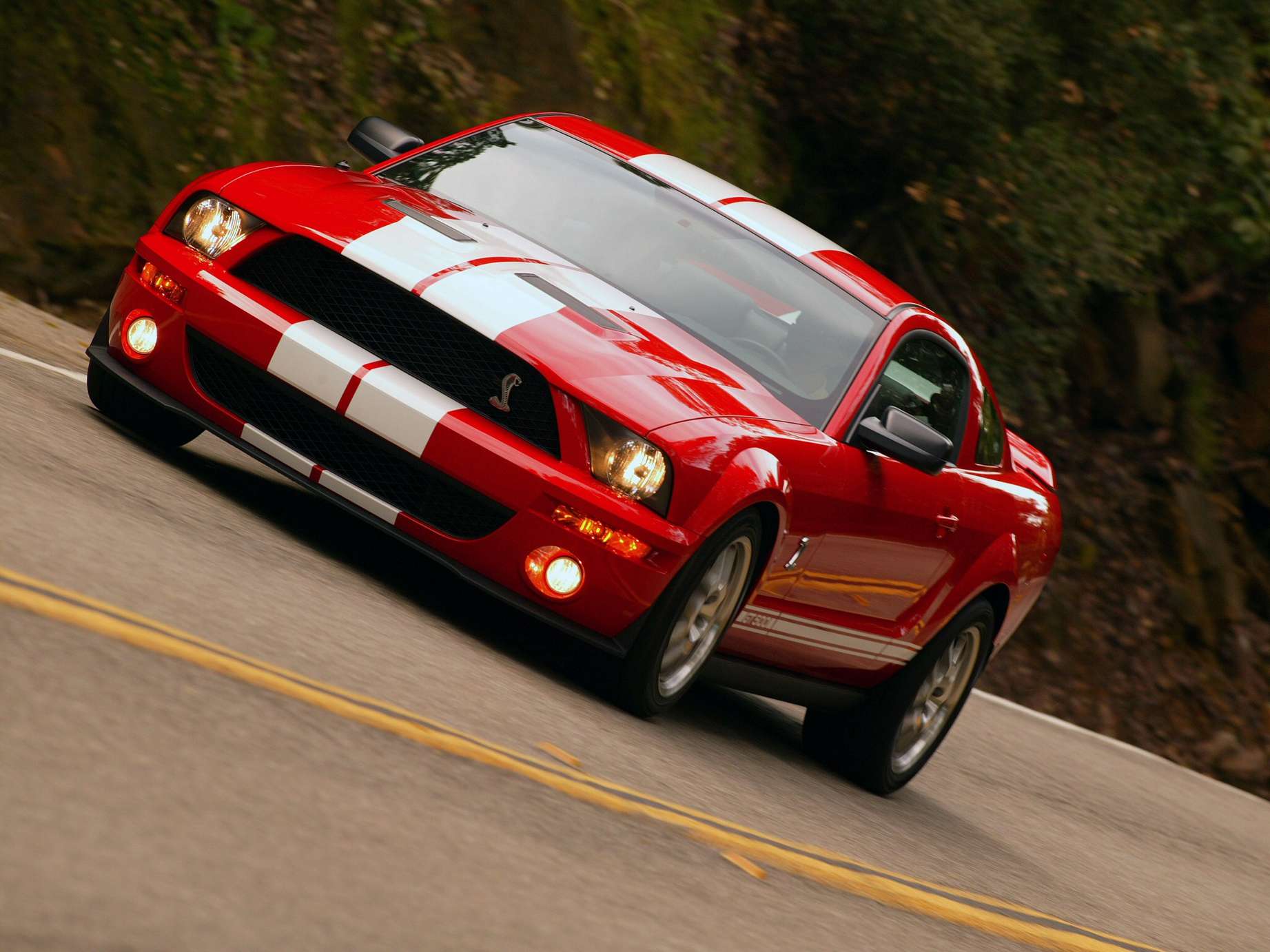 Ford Mustang #8681871