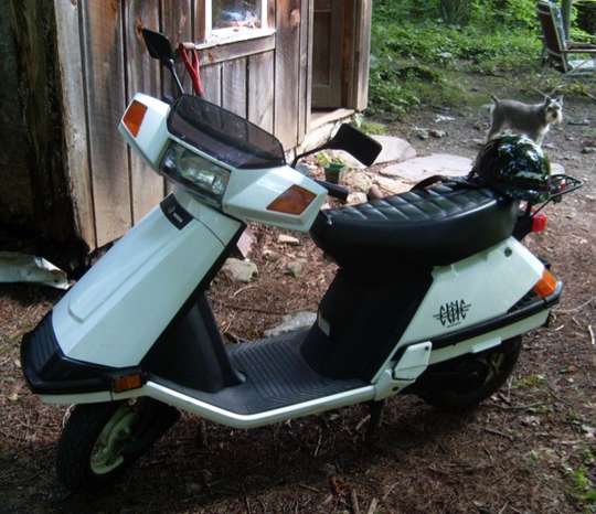 Honda Elite #8974531